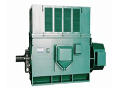 YKS5002-6YR高压三相异步电机