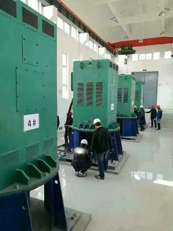 YKS5002-6某污水处理厂使用我厂的立式高压电机安装现场