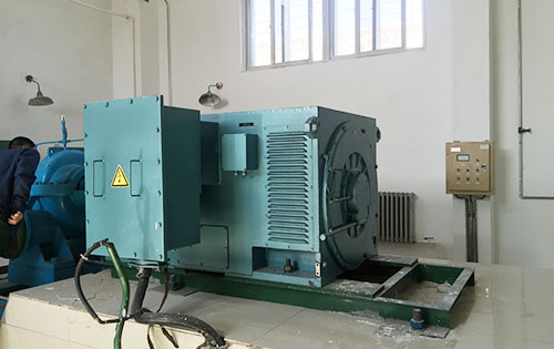 YKS5002-6某水电站工程主水泵使用我公司高压电机现货销售