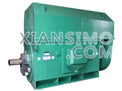 YKS5002-6YXKK(2极)高效高压电机技术参数